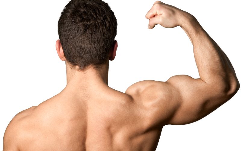 Enantato de testosterona: ganancia muscular efectiva